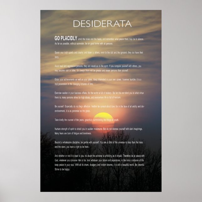 DESIDERATA Winter Sol Poster (Framsidan)