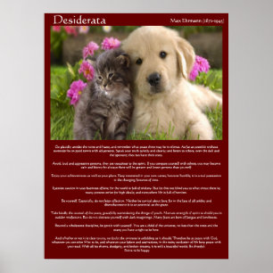 Desiderata Young Kärlek Fight Poster