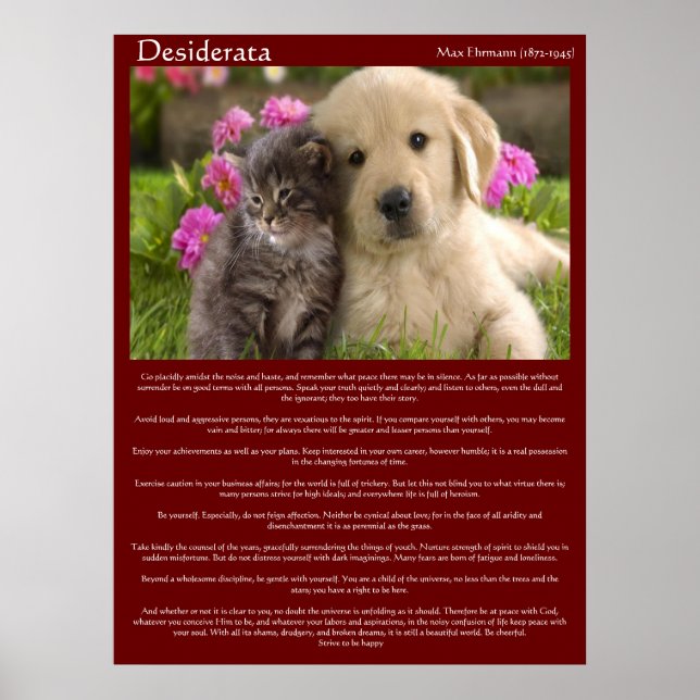 Desiderata Young Kärlek Fight Poster (Framsidan)