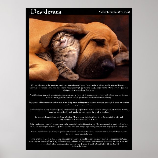 Desiderata Young Kärlek Poster 2 (Framsidan)