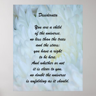 Desideratabarn av universum poster