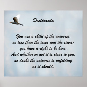 Desideratabarn av universum poster