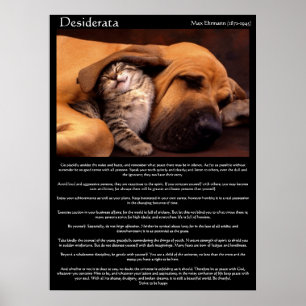 Desideratabarnkärlek poster 2