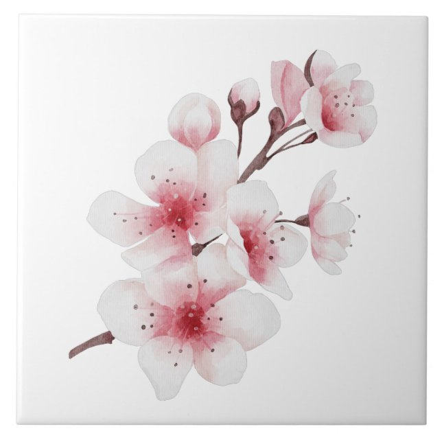 Design 30 i Okinawa-serien Kakelplatta (Framsidan)
