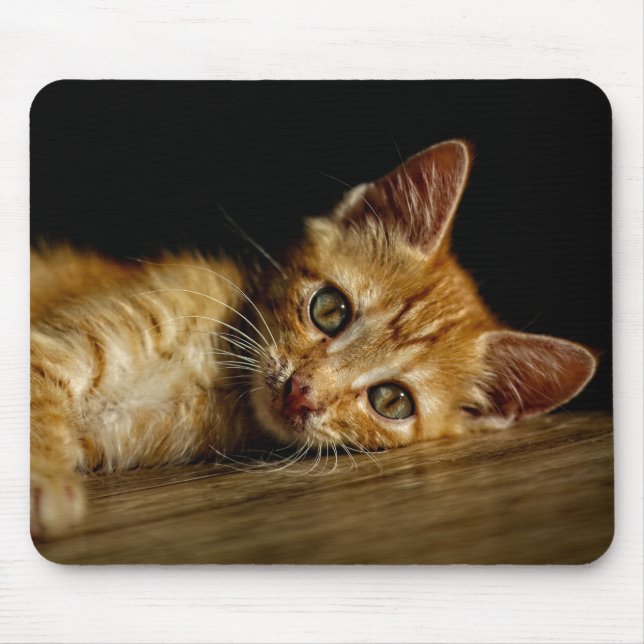 Design - Cute Kitten Musmatta (Framsidan)