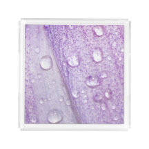 Design för blomma för makrovår violett
