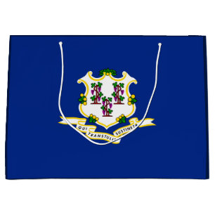 Design för Connecticut Statlig flagga