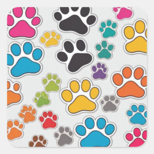 Design för Coola av Tassarna Cute Hund Fyrkantigt Klistermärke