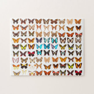 Design för fantastisk Butterfly Collection Pussel
