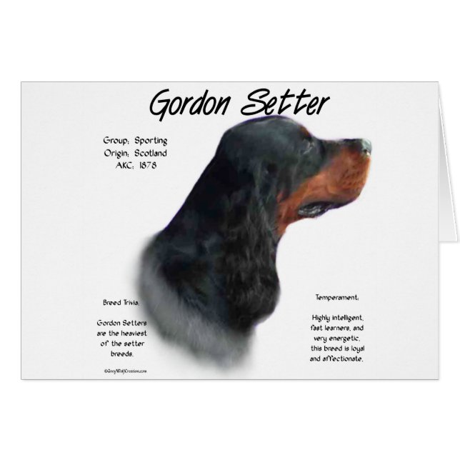Design för Gordon Setter-historik Hälsningskort (Framsidan Horizontal)
