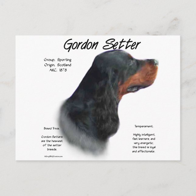 Design för Gordon Setter-historik Vykort (Framsida)