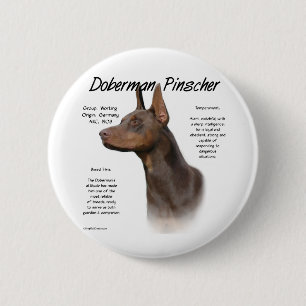 Design för historia för DobermanPinscher (röd) Knapp