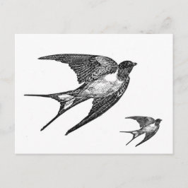 Design för vintagesvartsvala vykort
