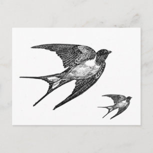 Design för vintagesvartsvala vykort