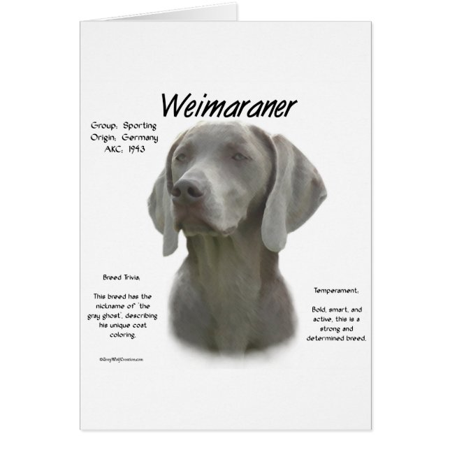 Design för Weimaraner-historik Hälsningskort (Framsidan)