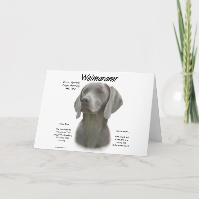 Design för Weimaraner-historik Kort (Framsida)