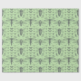 Design insectes vintage noir sur vert sauge doux presentpapper
