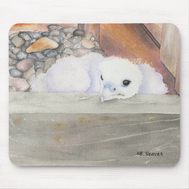 Design Mousepad för B.Weaver Orion Musmatta (Framsidan)
