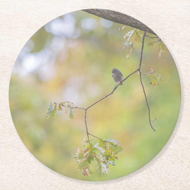  design nature underlägg papper rund (Framsidan)