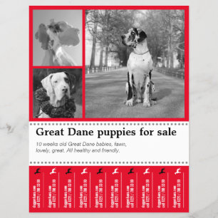 Design Sälj Valp Flyer
