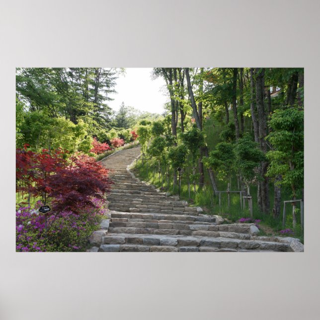 Designade med ett fotografi av Sydkorea, tryckt Poster (Framsidan)