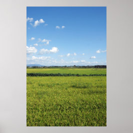 Designade med ett fotografi av Sydkorea, tryckt Poster