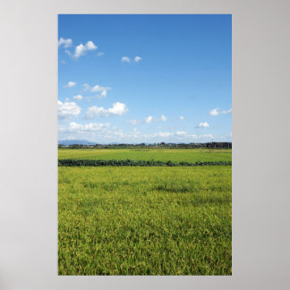 Designade med ett fotografi av Sydkorea, tryckt Poster