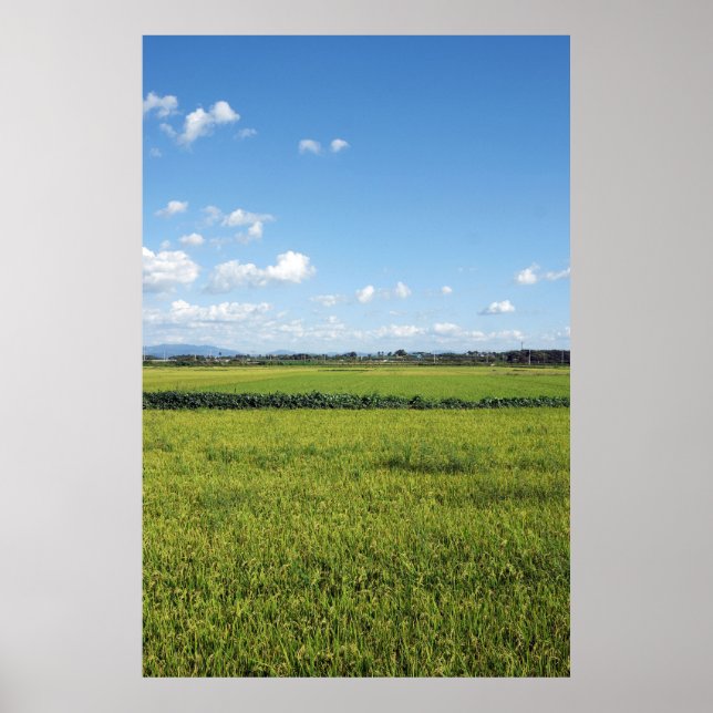 Designade med ett fotografi av Sydkorea, tryckt Poster (Framsidan)