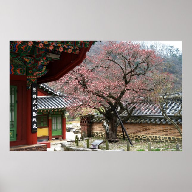 Designade med ett fotografi av Sydkorea, tryckt Poster (Framsidan)