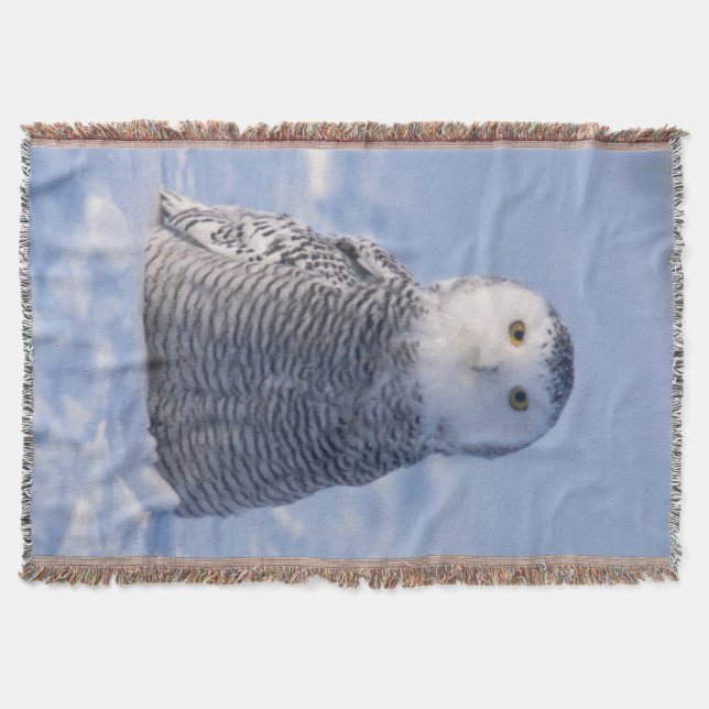 Designade röv av typen Cute Arctic Snowy Uggla Pho Mysfilt (Framsidan)