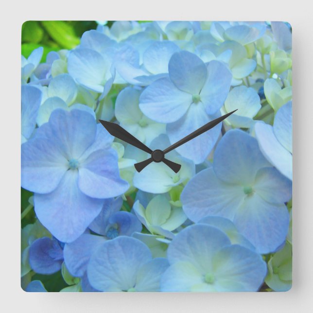 Designer klockor Vackra Blå Hortensia Blommor (Framsida)