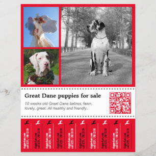 Designer Riv av Great Dane Flyer