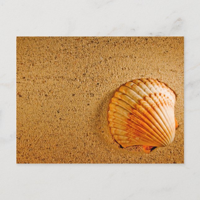 Designer Sparar datumet kort (Framsida)