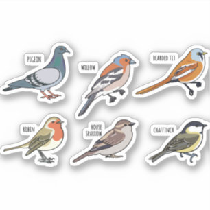 DESIGNUPPSÄTTNING FÖR BIRD ILLUSTRATION KLISTERMÄRKEN
