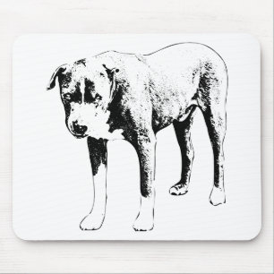 Desk Focus Pit Bull Musmatta
