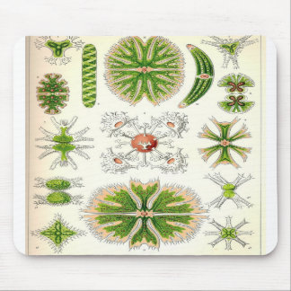 Desmid Mousepad Musmatta