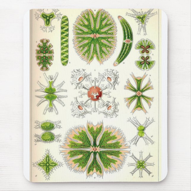 Desmid Mousepad Musmatta (Framsidan)