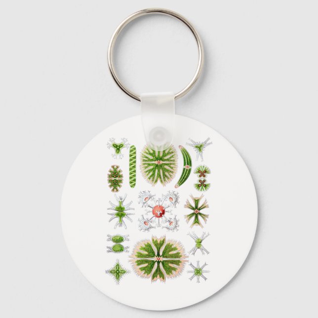 Desmider Nyckelring (Framsida)