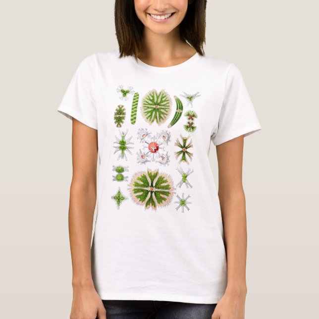 Desmids T-shirt (Framsida)