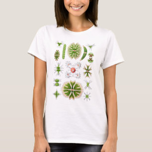 Desmids Tee