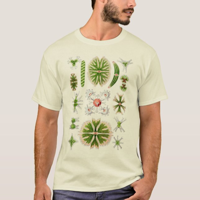 Desmids Tee (Framsida)