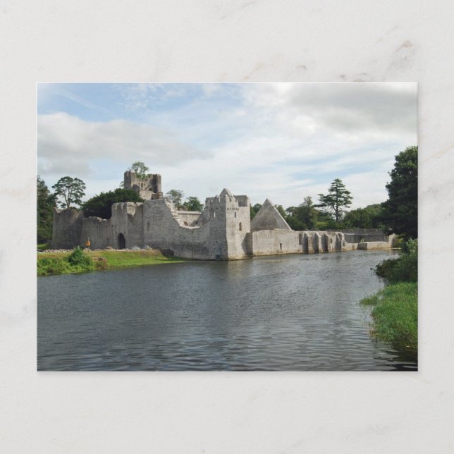 Desmond Castle Postcard Vykort (Framsida)