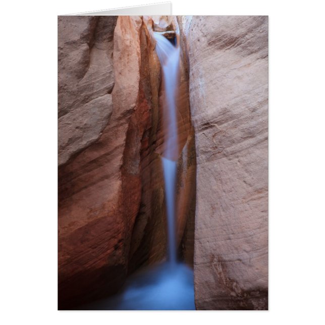 Desolat Oasis Hälsningskort (Framsidan)