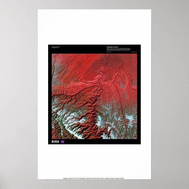 Desolation Canyon Utah Poster (Framsidan)