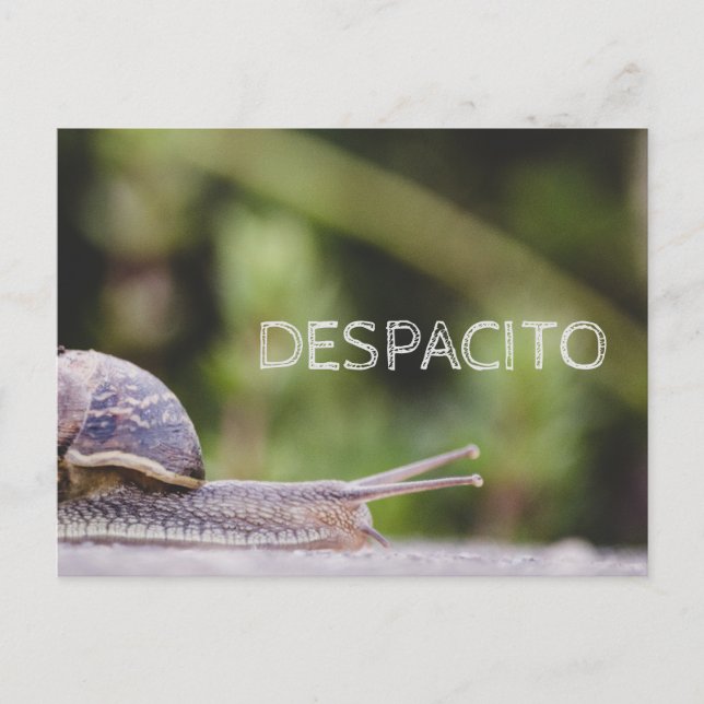 Despacito Vykort (Framsida)