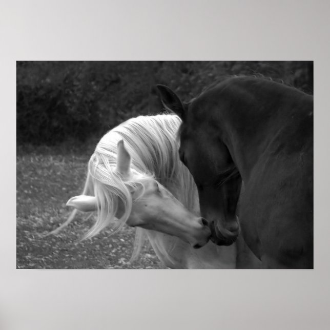 Dess Kärlek Poster (Framsidan)