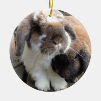 Dessa ska två kommer med mycket furriness till julgransprydnad keramik