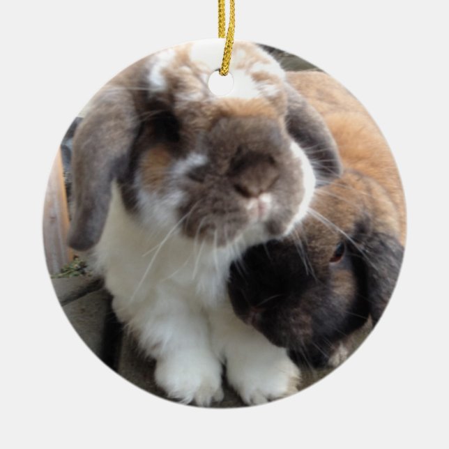 Dessa ska två kommer med mycket furriness till julgransprydnad keramik (Framsidan)