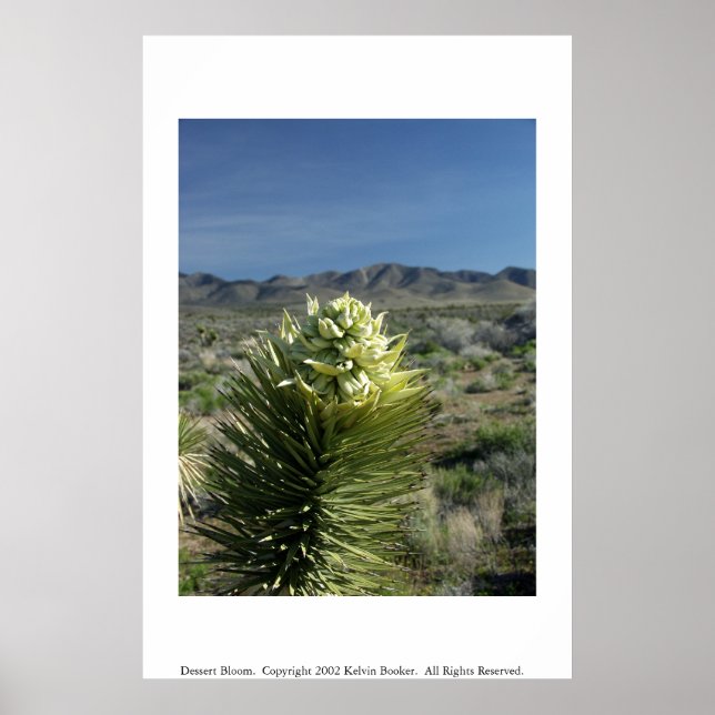 Dessert Bloom Poster (Framsidan)