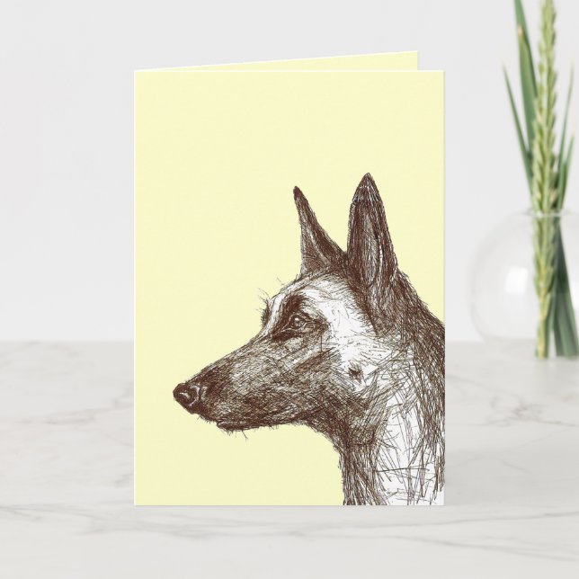 dessin malinois kort (Framsida)
